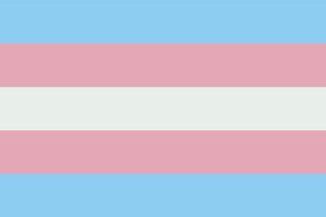 Understanding Dead-Naming: Why It's Harmful to Transgender Individuals - LGBTPride.com